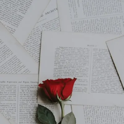 Narcisismo Patologico Love Bombing